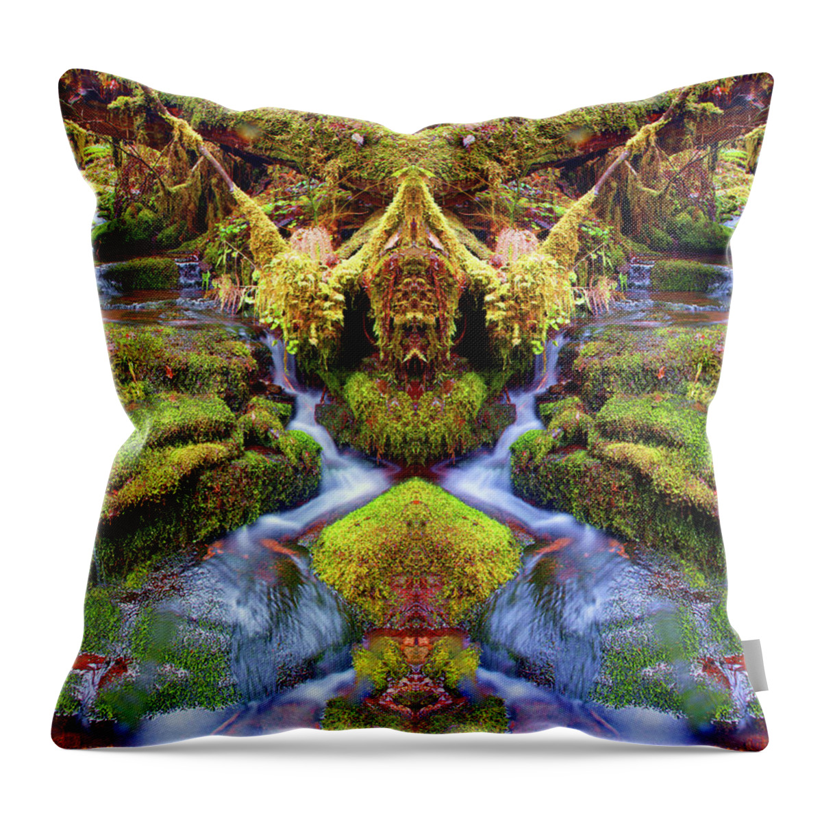 Nature Throw Pillow featuring the photograph Creek Magic #2 by Ben Upham III