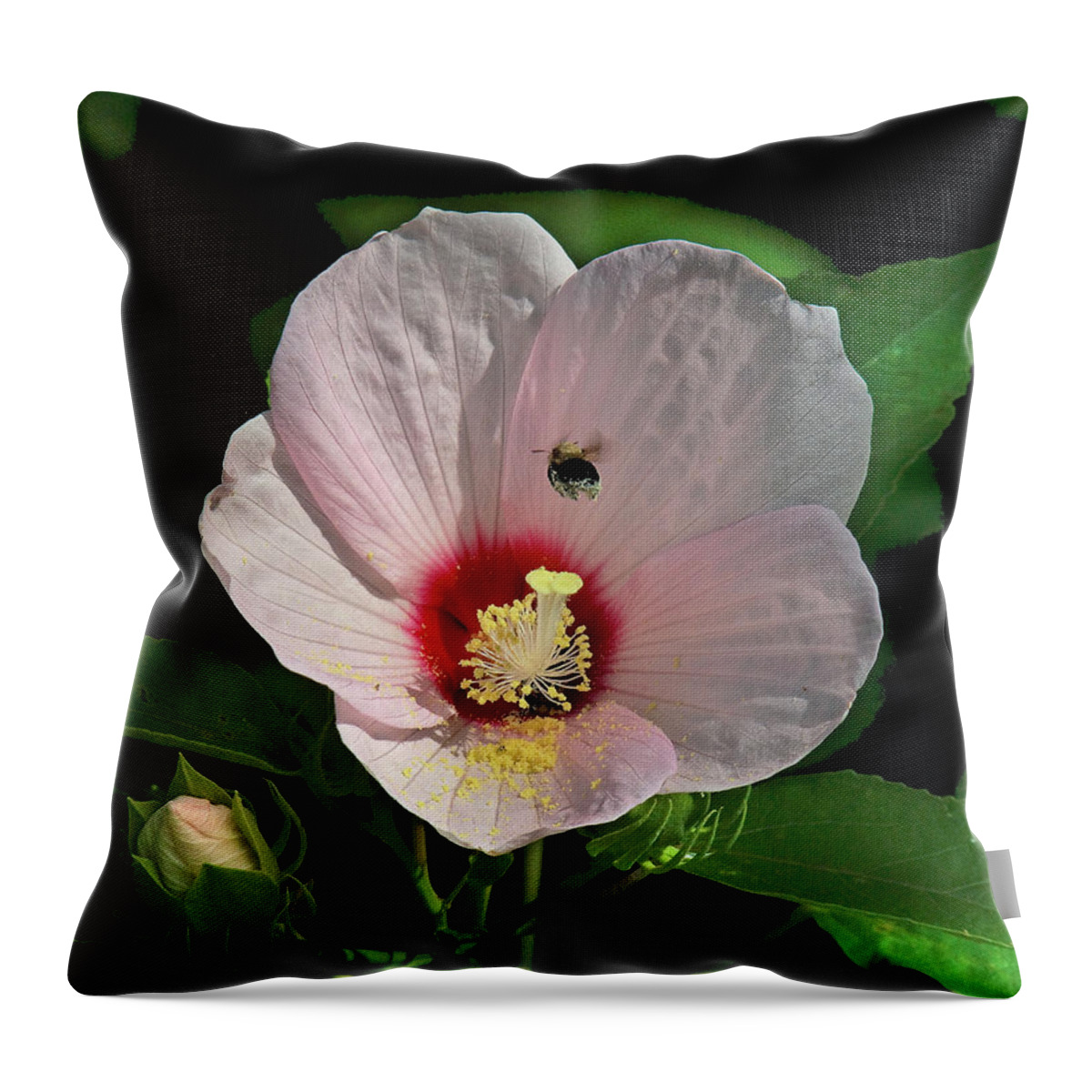 Nature Throw Pillow featuring the photograph Crimson-eyed Rosemallow with Bumblebee DSMF0149 by Gerry Gantt