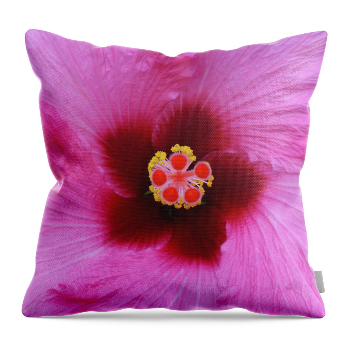 Haslemere Throw Pillow featuring the photograph Crisp Detail At Centre Of Pink Hibiscus by Rosemary Calvert