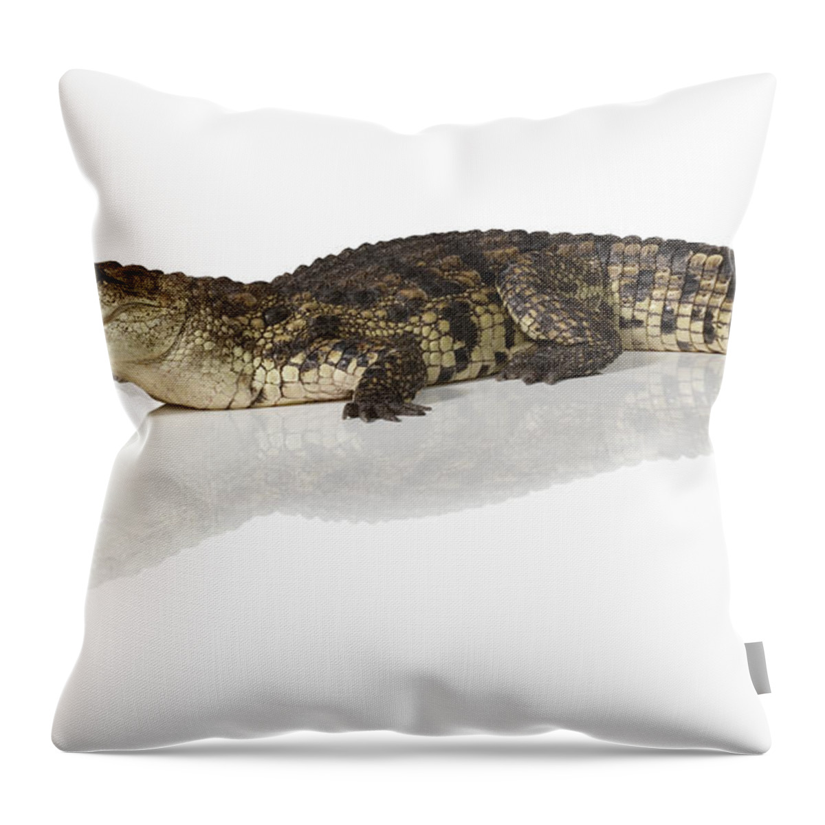 Shadow Throw Pillow featuring the photograph Crocodile Crocodylus by Jonathan Knowles