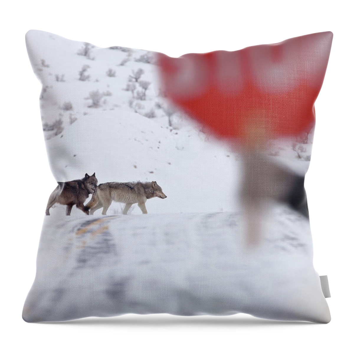 Yellowstone Throw Pillow featuring the photograph Crossing Guard by Eilish Palmer