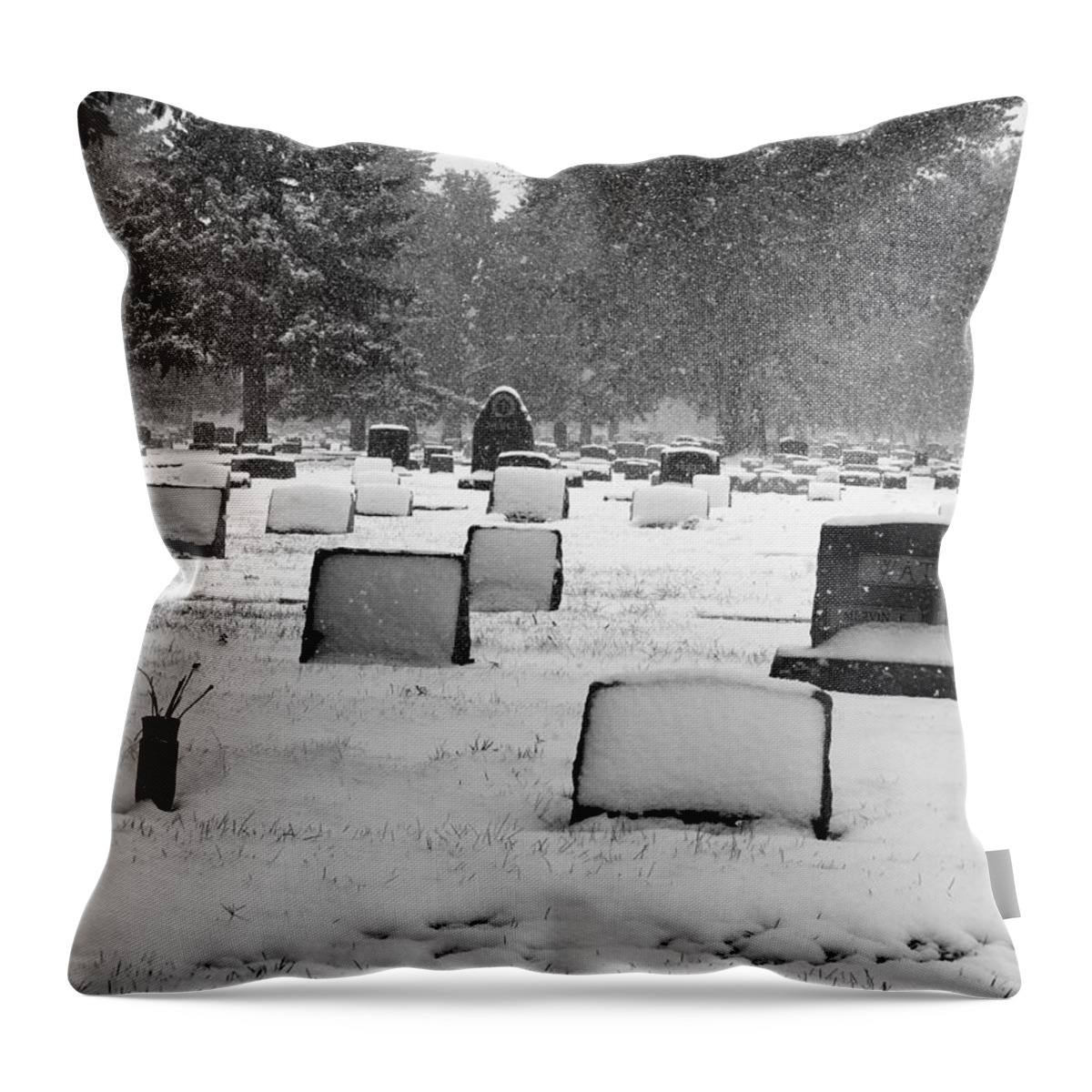 Snow Throw Pillow featuring the photograph Crown Hill by Nicole Belvill