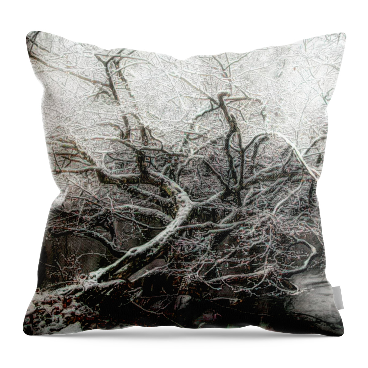 Carolina Throw Pillow featuring the photograph Crown of Ice by Debra and Dave Vanderlaan