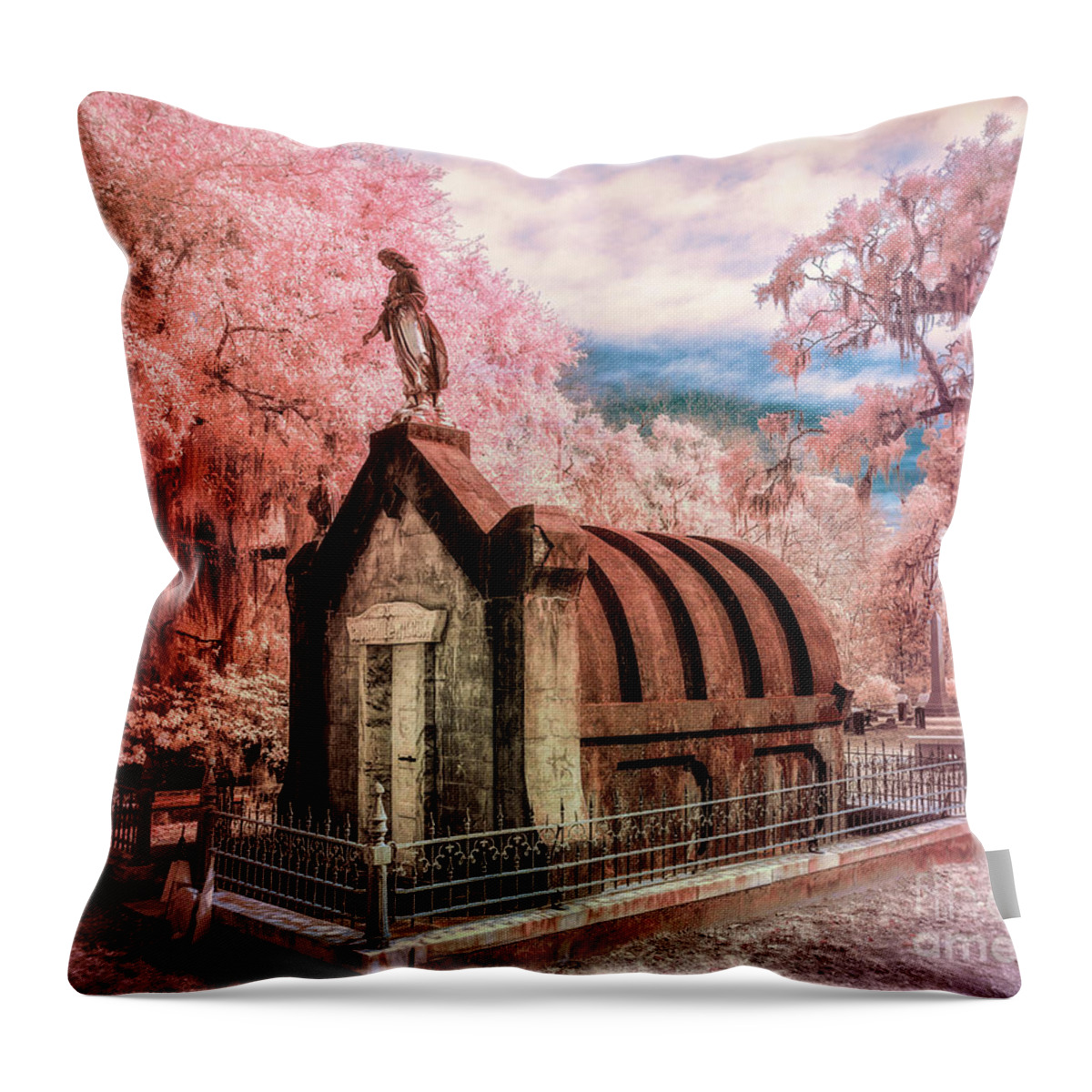Georgia Throw Pillow featuring the photograph Crypt faux color by Izet Kapetanovic