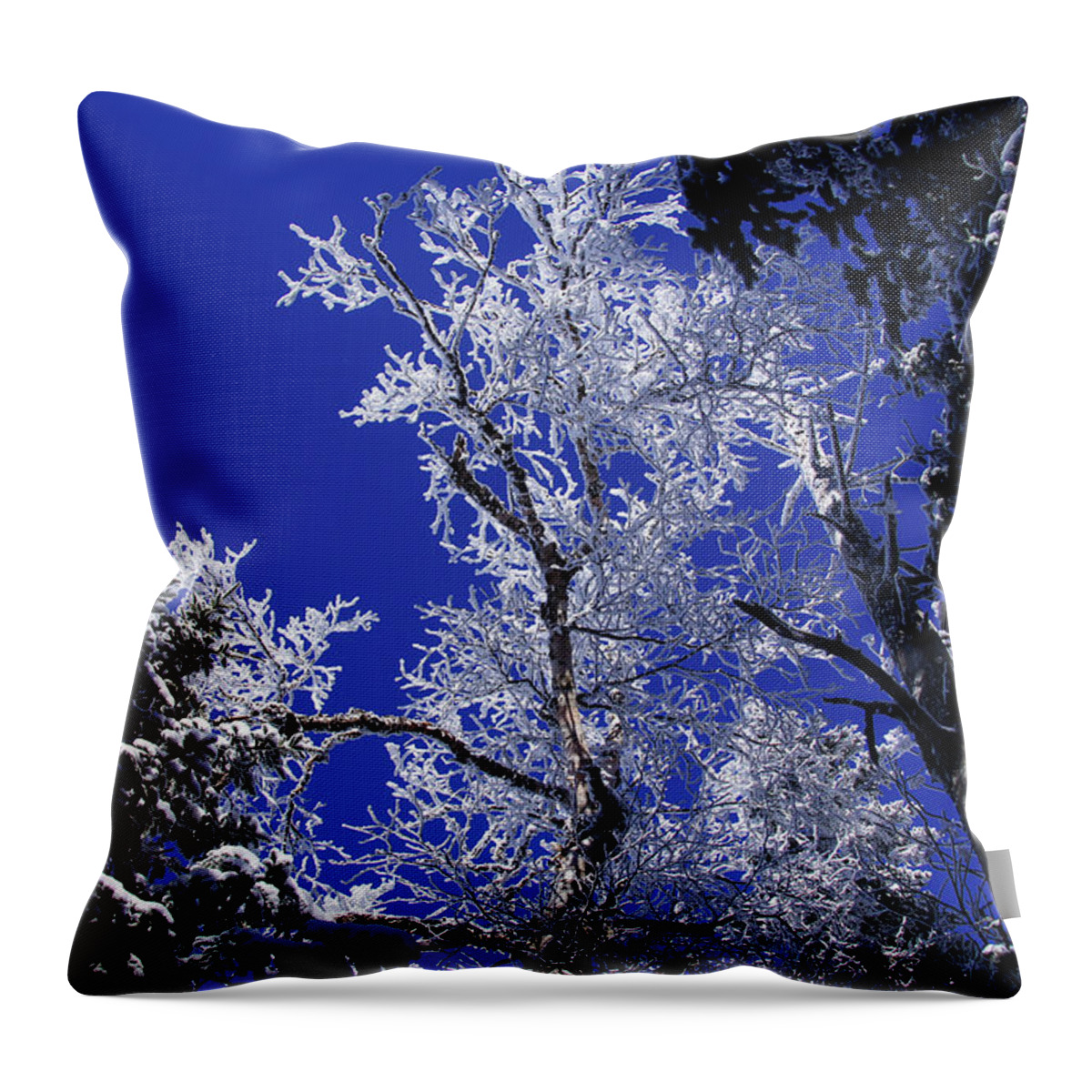 Snow Throw Pillow featuring the photograph Crystal Lattice by Rockybranch Dreams