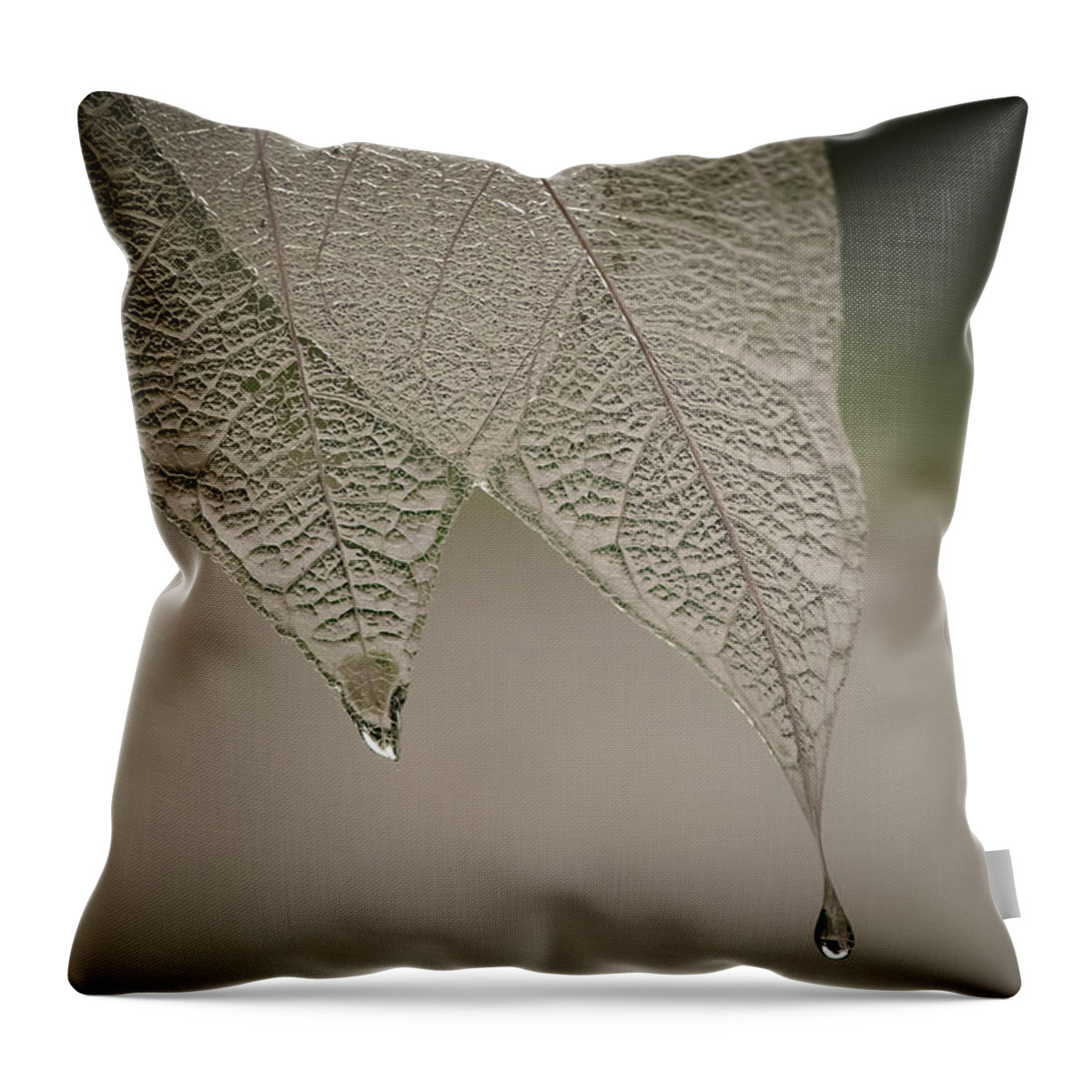 Leaf Throw Pillow featuring the photograph Crystal Rain by Maggie Terlecki