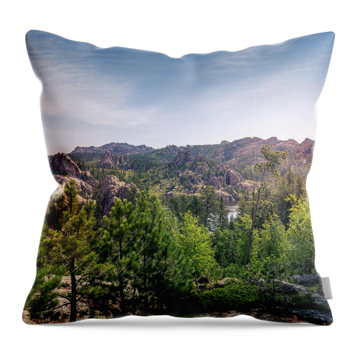 Custer Park Throw Pillow featuring the photograph Custer Park by Chris Spencer
