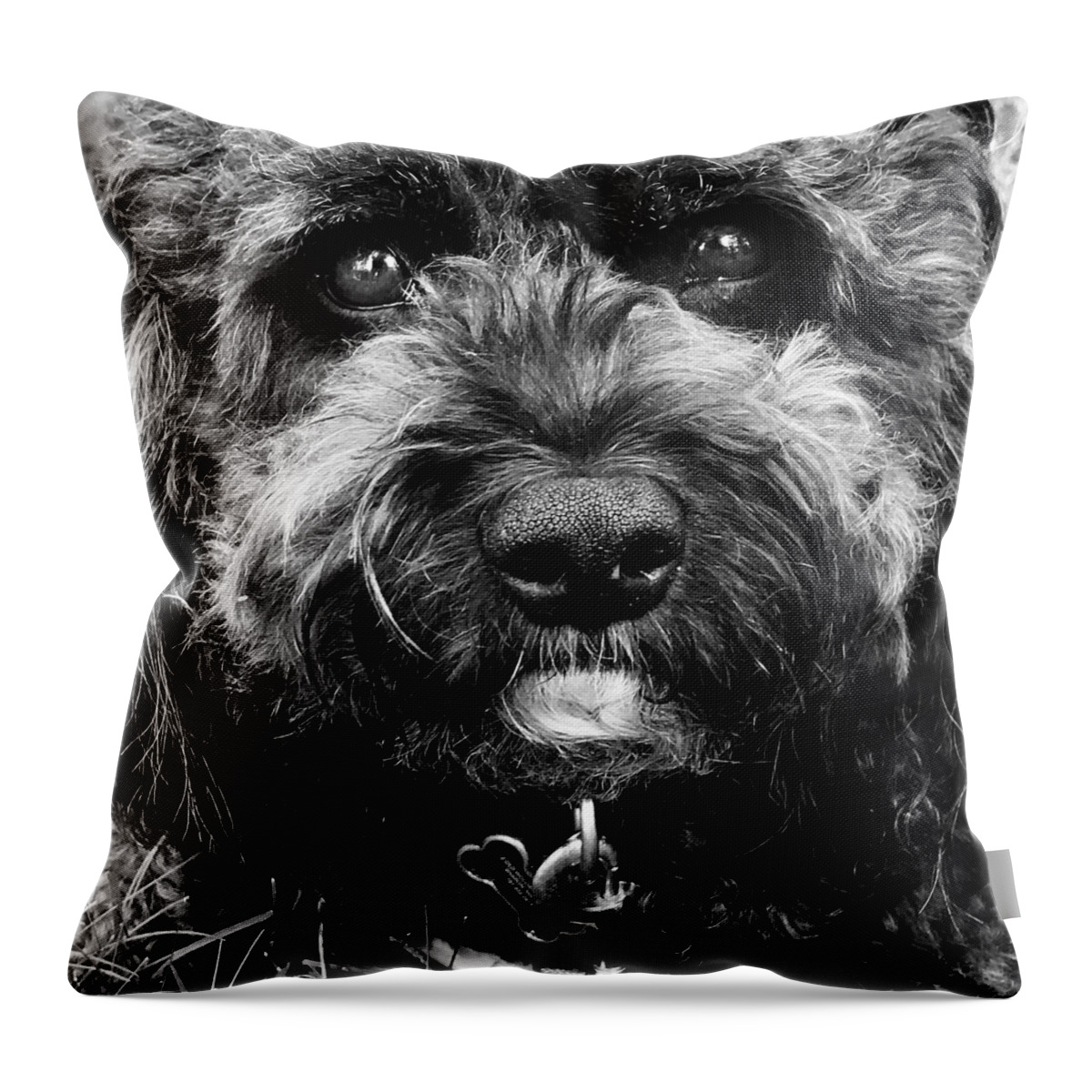  Throw Pillow featuring the digital art Cutest Dog on the Planet by Cindy Greenstein