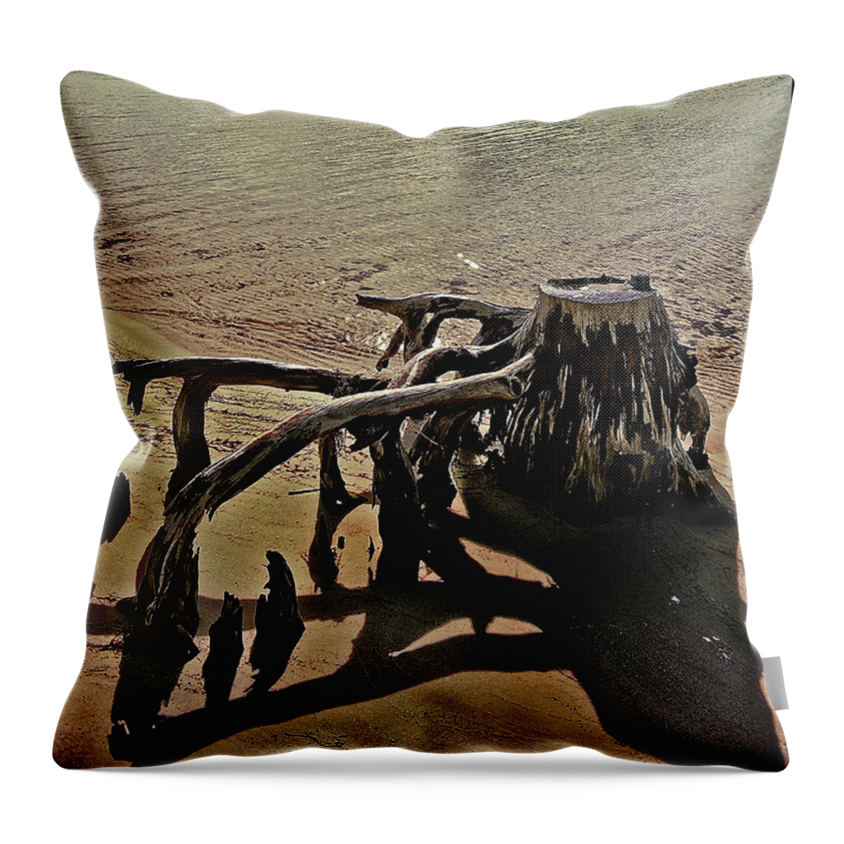 Debris Throw Pillow featuring the photograph Cypress on the Beach by Maggy Marsh