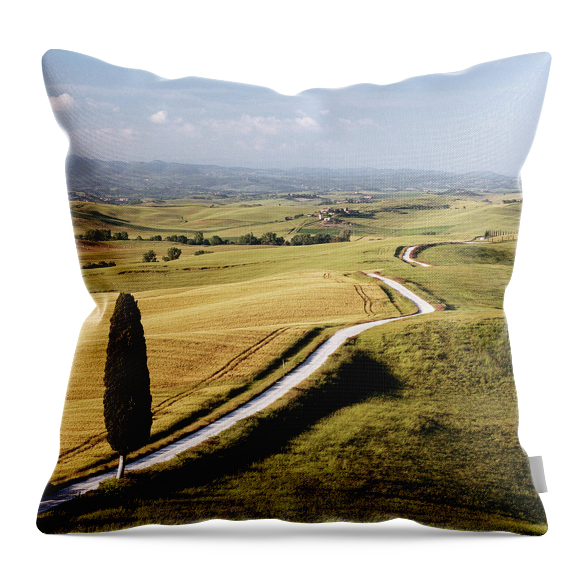 Scenics Throw Pillow featuring the photograph Cypress Tree By Road In Tuscany by Gary Yeowell