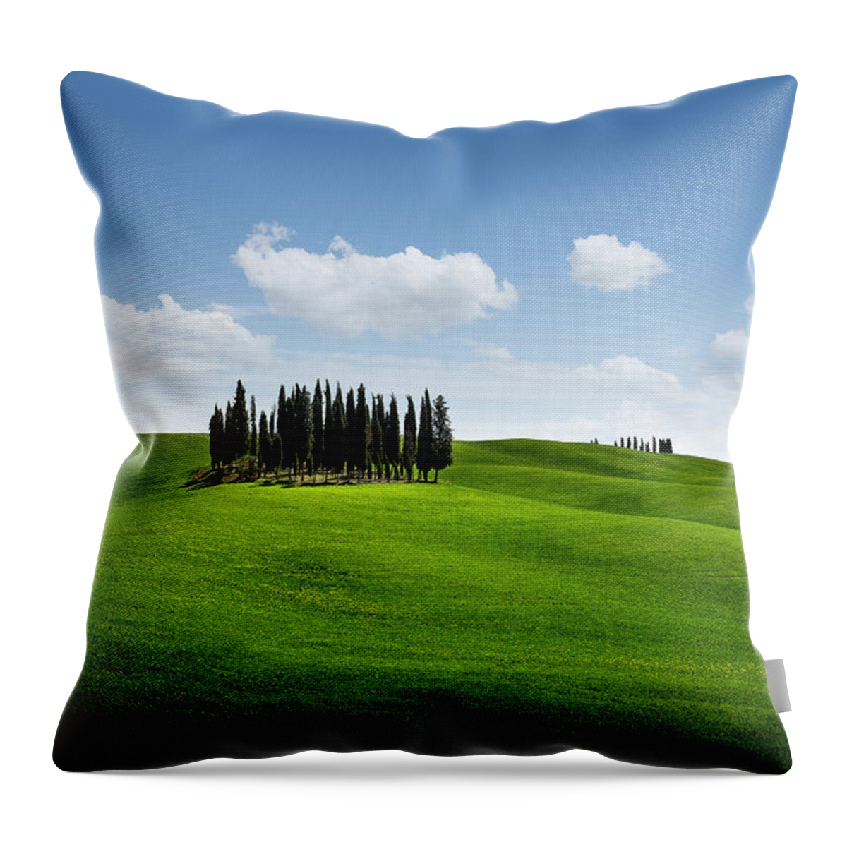 Agriculture Throw Pillow featuring the photograph Cypress trees in Tuscany by Francesco Riccardo Iacomino