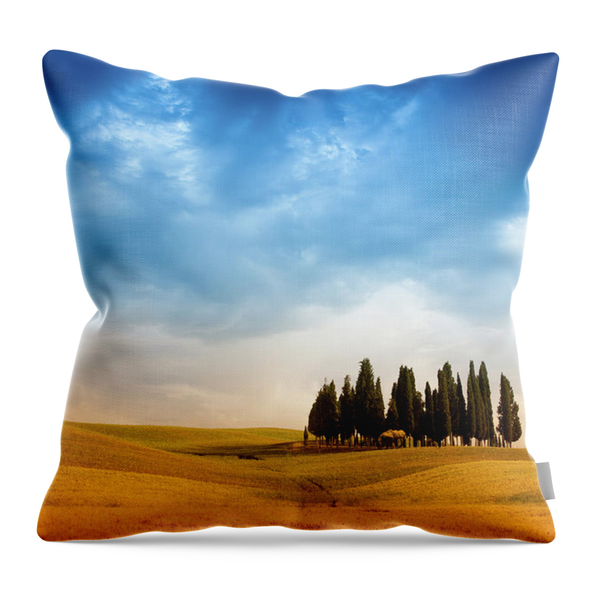 Outdoors Throw Pillow featuring the photograph Cypress Trees In Wheat Field Of Tuscany by Michele Berti