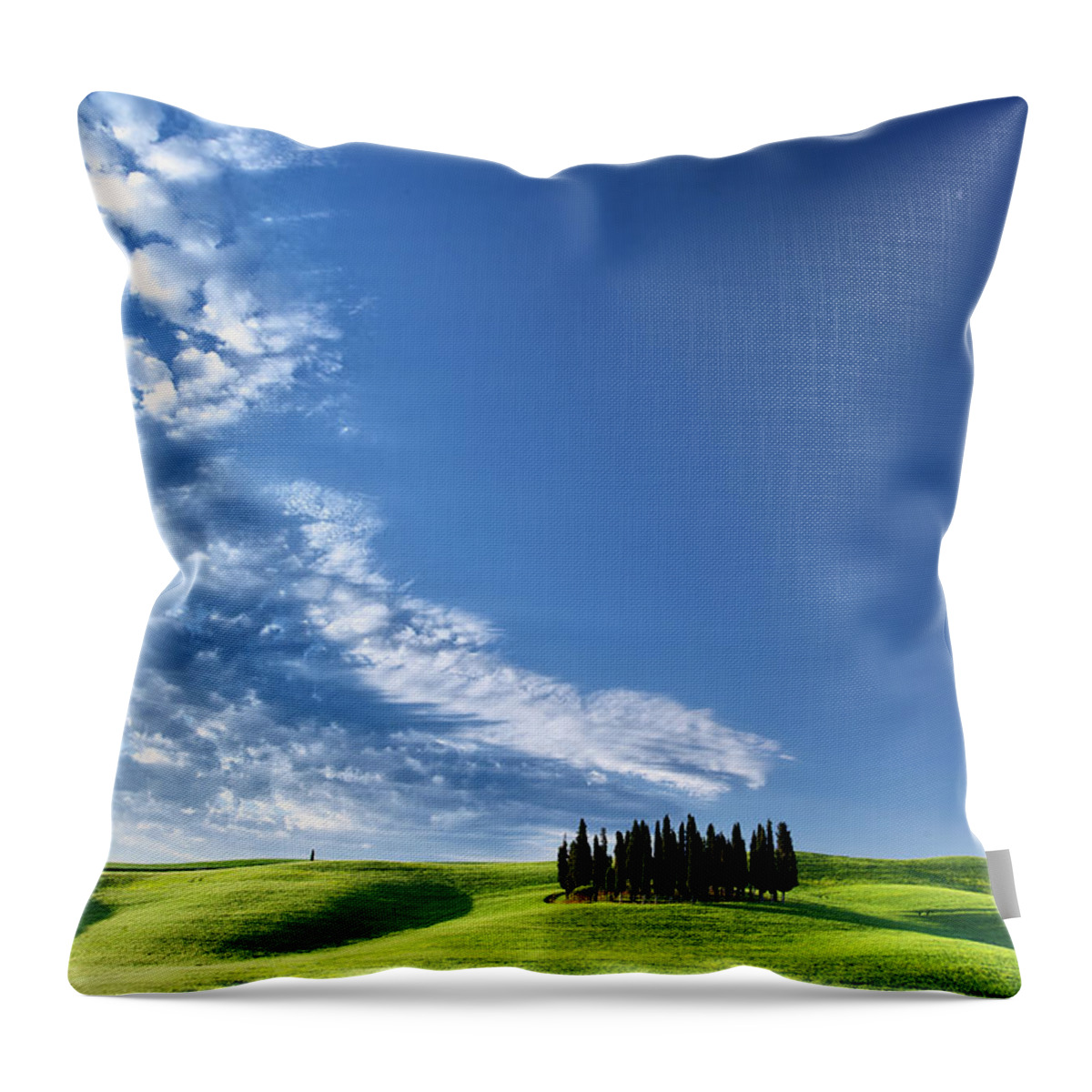 Scenics Throw Pillow featuring the photograph Cypress Trees by Manolo Raggi
