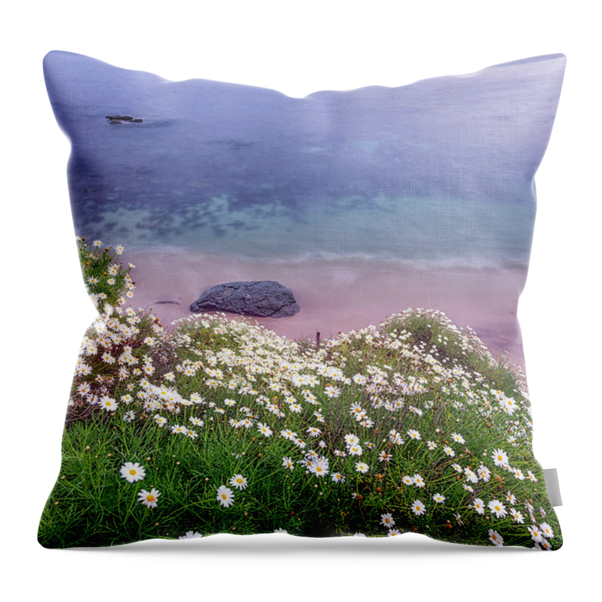 Daisy Throw Pillow featuring the photograph Dainty Daisies At The Cove by Joseph S Giacalone