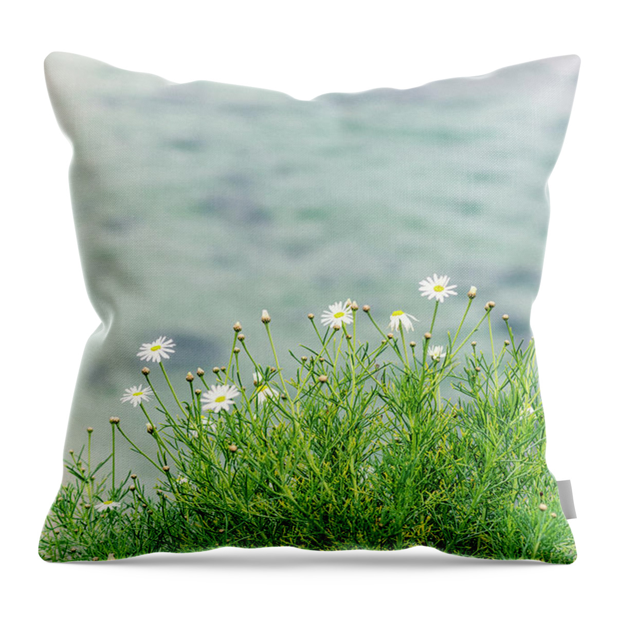 Daisy Throw Pillow featuring the photograph Dainty Daisies Vintage by Joseph S Giacalone
