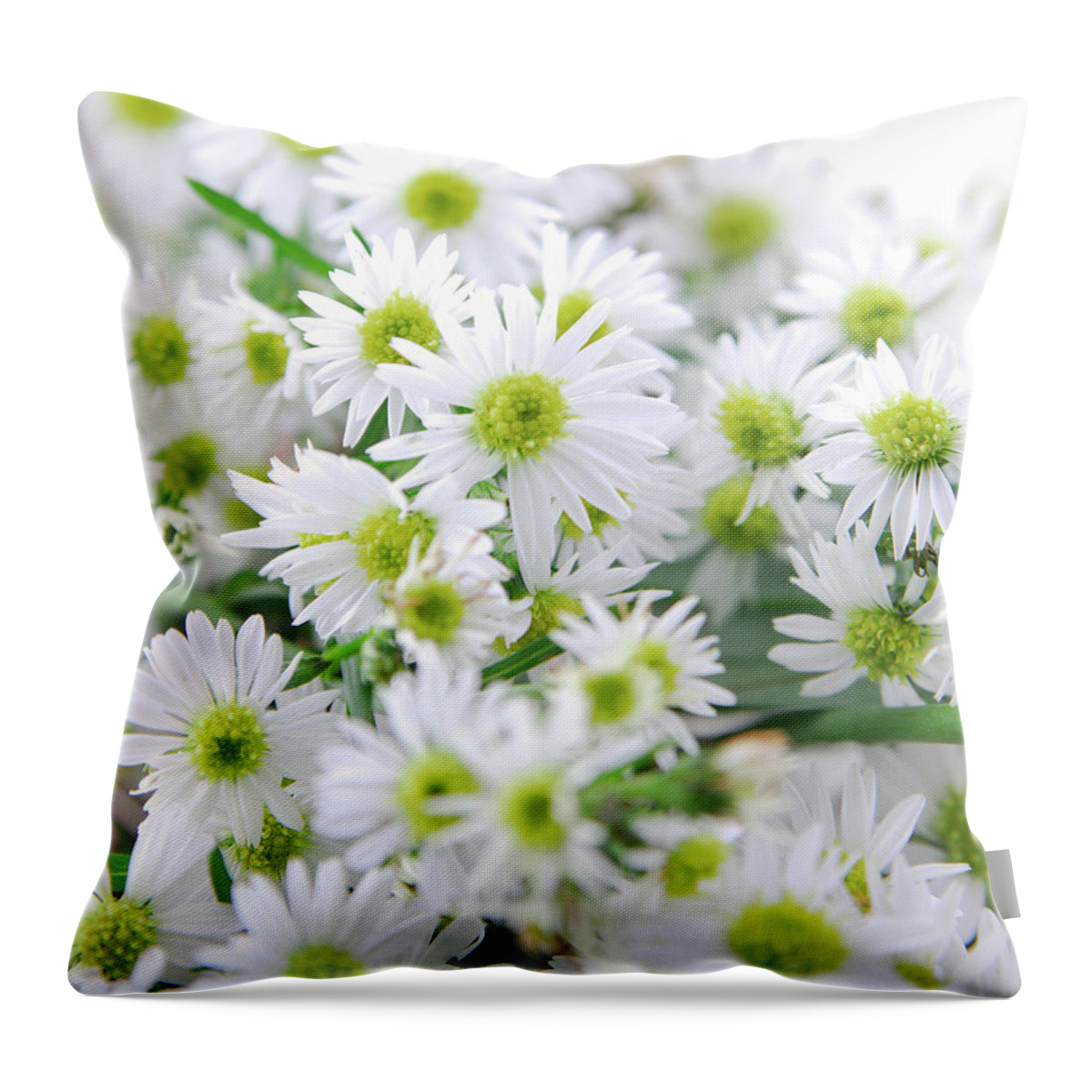 Large Group Of Objects Throw Pillow featuring the photograph Daisies by Thepalmer