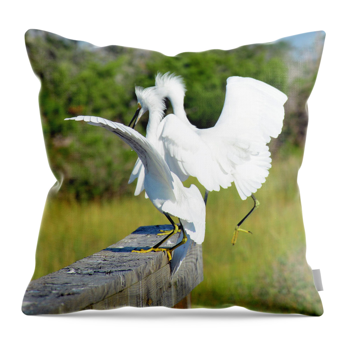 Birds Throw Pillow featuring the photograph Dancing Snowy Egrets by Bruce Gourley