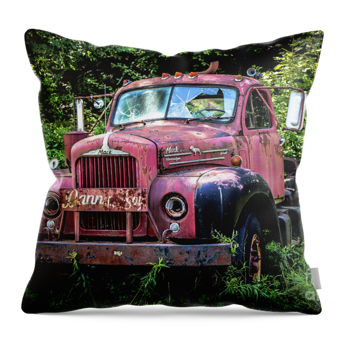 Mack Truck Throw Pillow featuring the photograph Danny Boy by Veronica Batterson