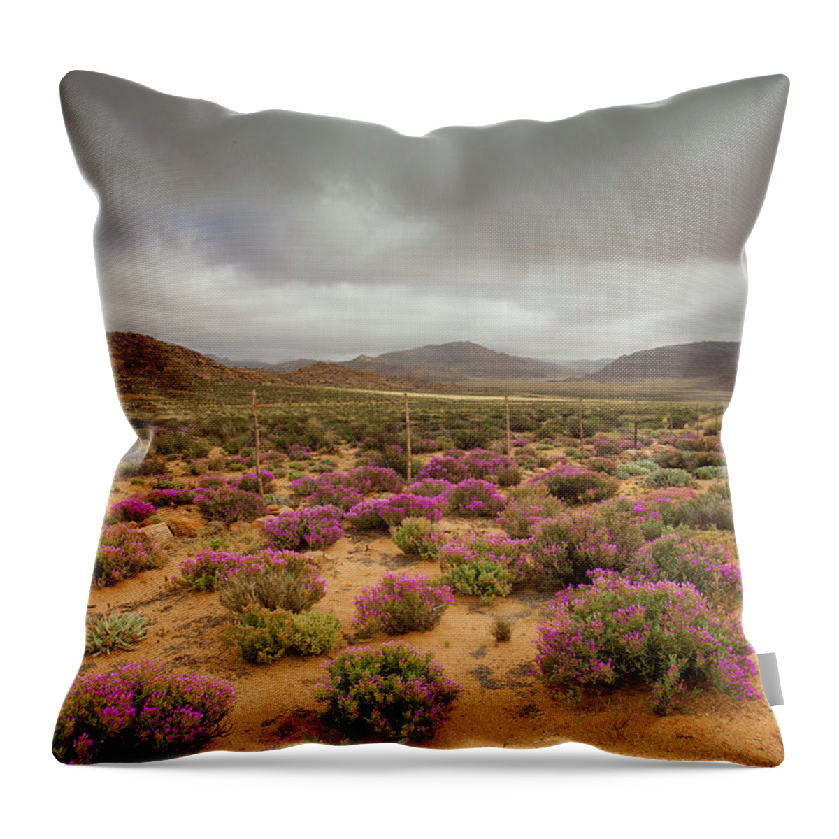 Wire Throw Pillow featuring the photograph Dark Clouds Hang Over A Open Field by Anthony Grote