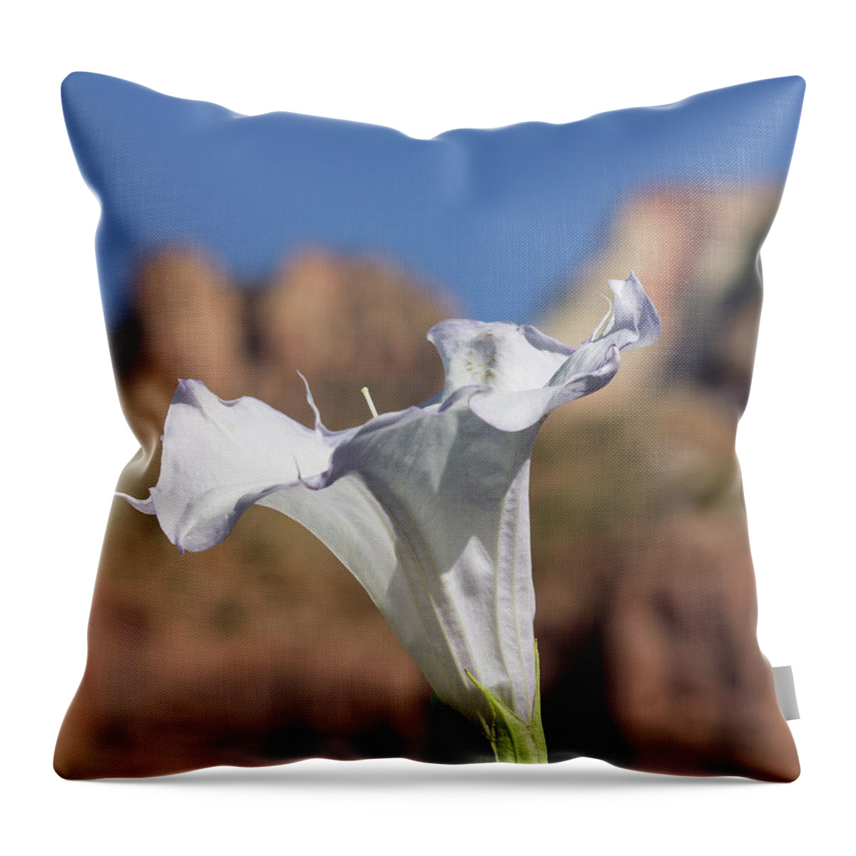 Datura Throw Pillow featuring the photograph Datura in Zion by Jonathan Thompson