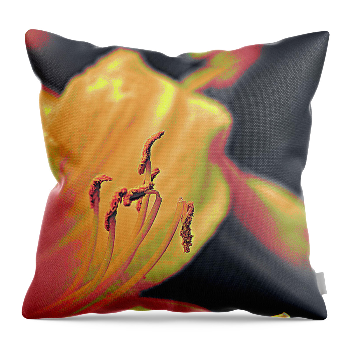 Floral Throw Pillow featuring the photograph Day Lilly by Bearj B Photo Art