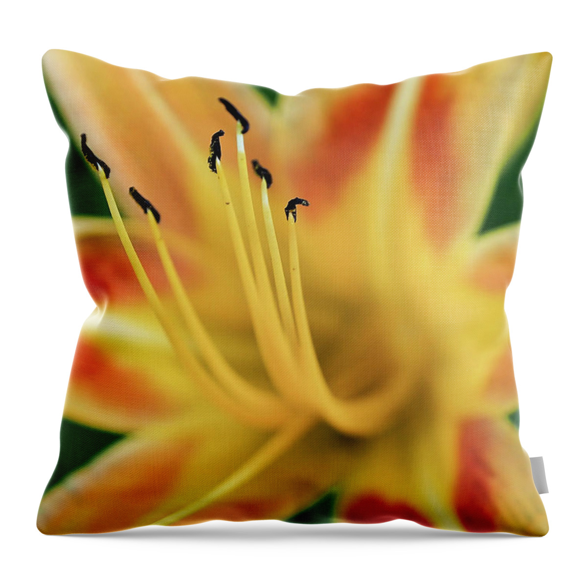 Lily Throw Pillow featuring the photograph Day Lily by Jerry Connally