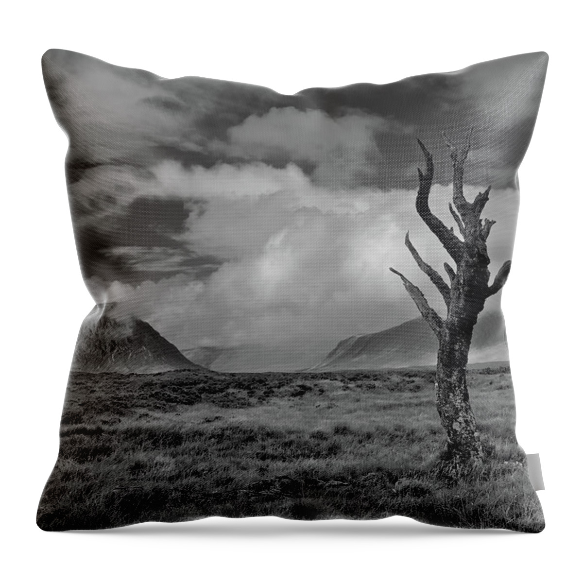 The End Throw Pillow featuring the photograph Dead Tree by Rabmcbridephotography