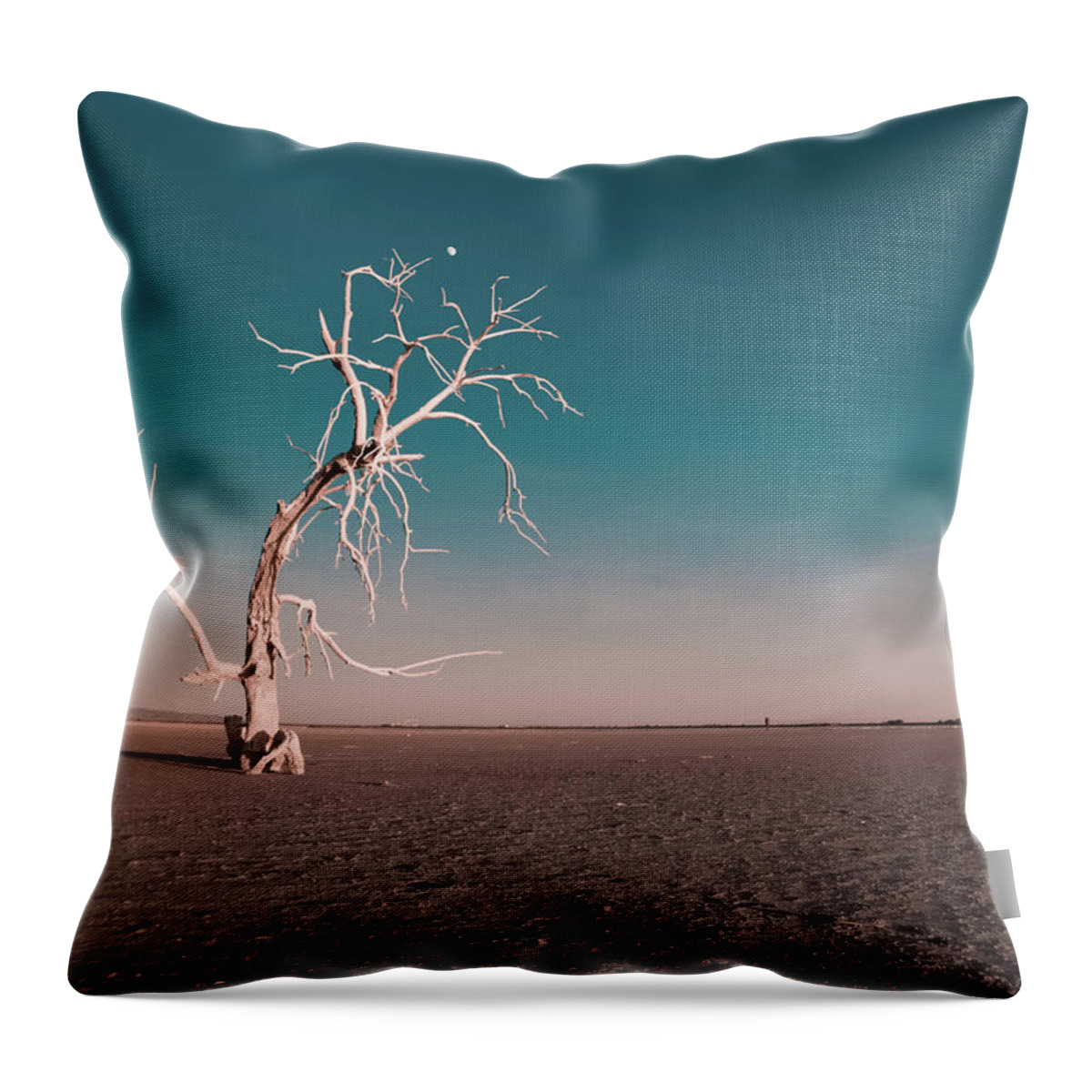 Tranquility Throw Pillow featuring the photograph Dead Tree With Moon At Salton Sea by David Teter