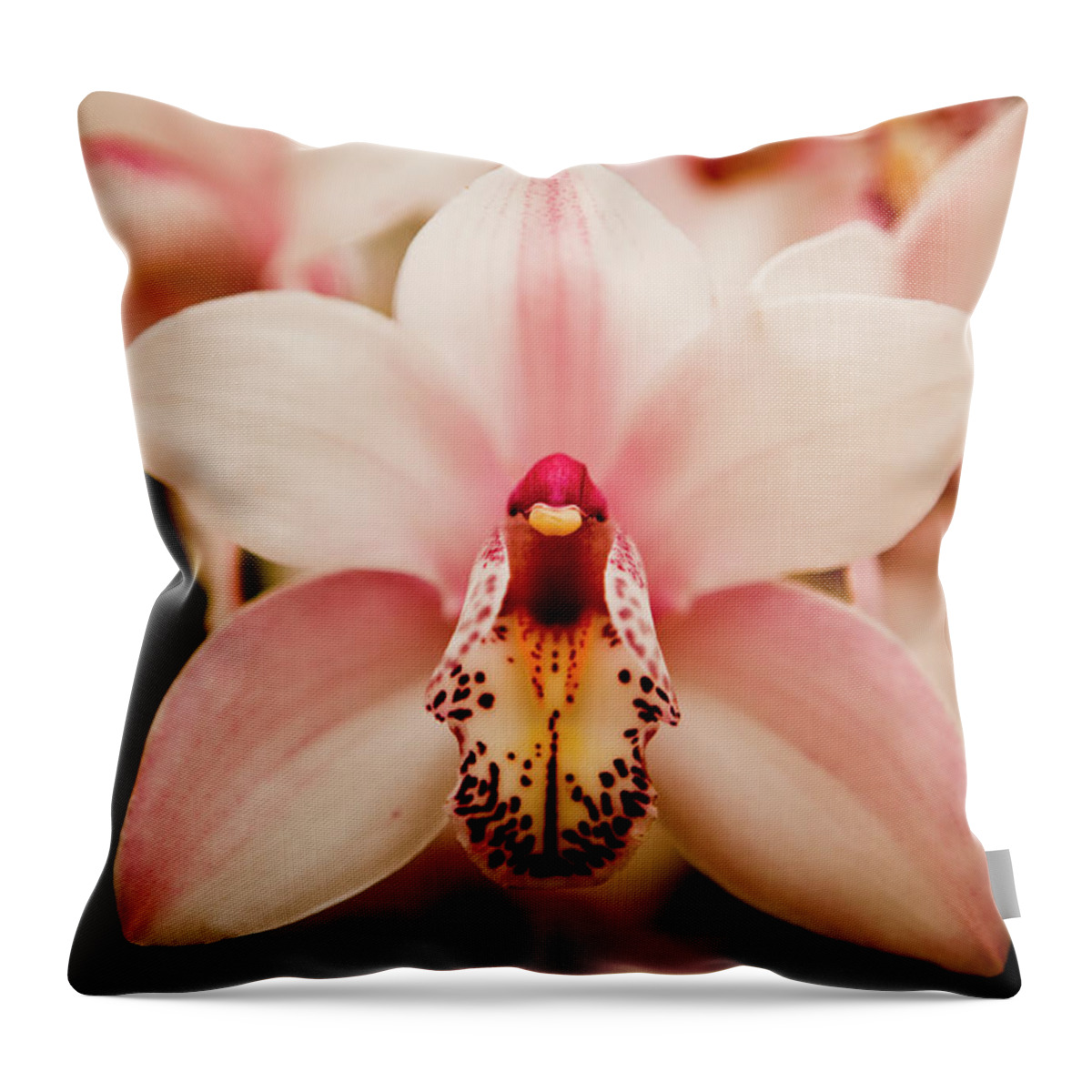 Natural Pattern Throw Pillow featuring the photograph Deep Cut Orchid by Dan Pfeffer