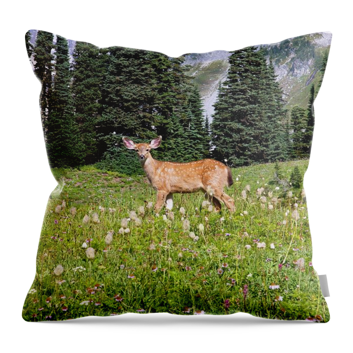Alertness Throw Pillow featuring the photograph Deer Cervidae In Paradise Park In Mt by Design Pics / Craig Tuttle