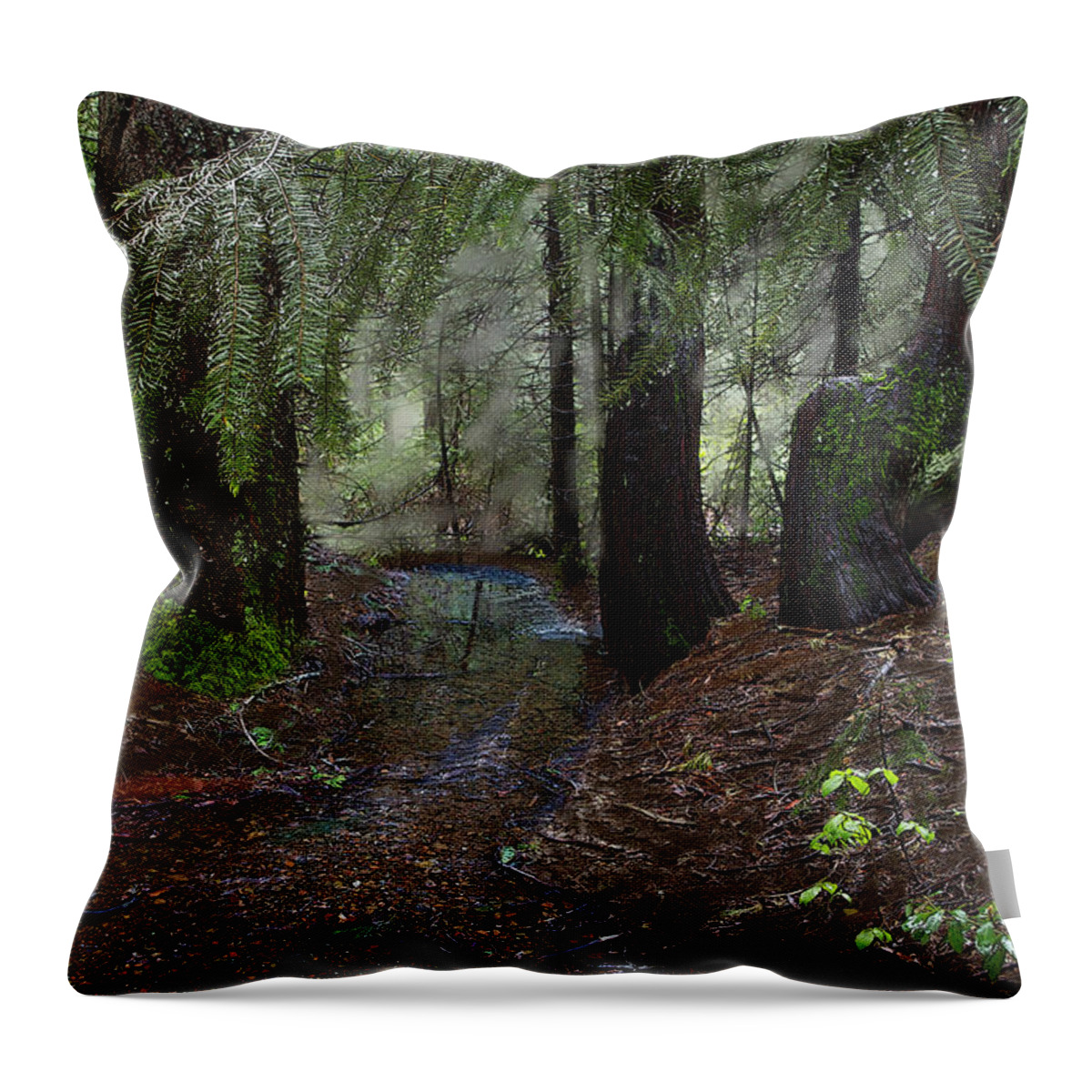 Headwaters Throw Pillow featuring the digital art Deer Creek Headwaters at Skillman Horse Campground by Lisa Redfern