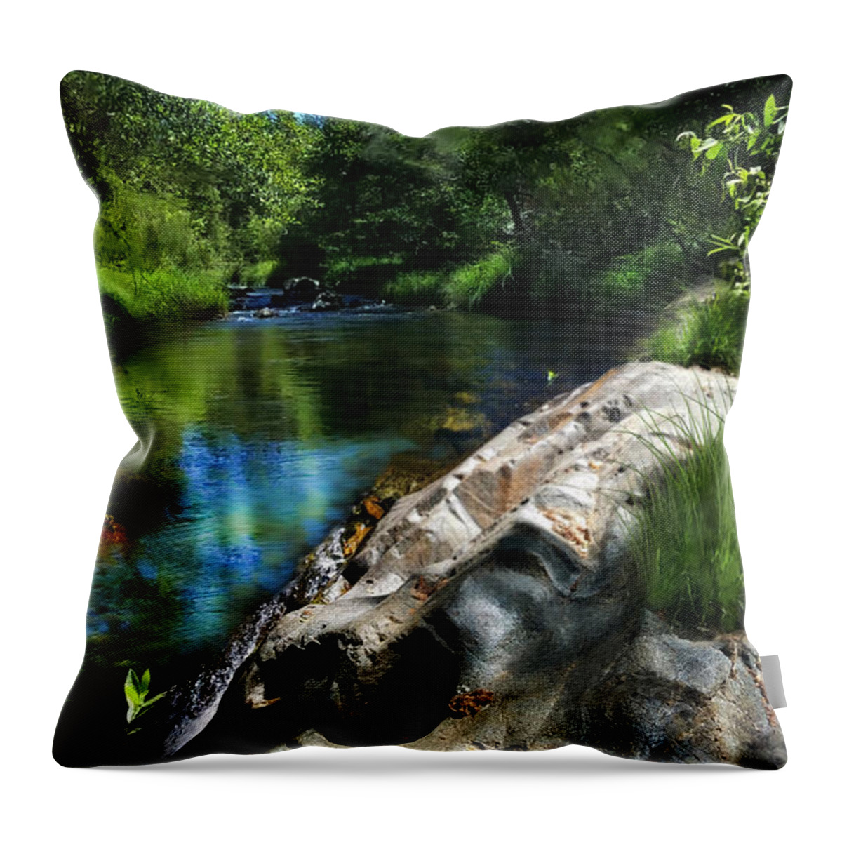 Stream Throw Pillow featuring the digital art Deer Creek off Newtown Road by Lisa Redfern