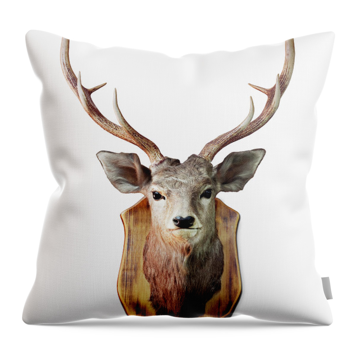 Hokkaido Throw Pillow featuring the photograph Deer Trophy by H&c Studio