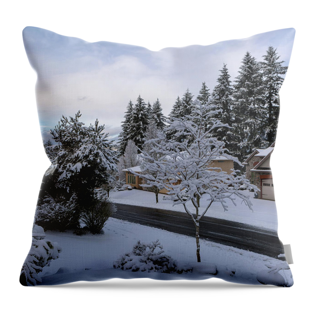 Deicing Throw Pillow featuring the photograph Deiced Street in Upscale Residential Neighborhood in Winter by David Gn