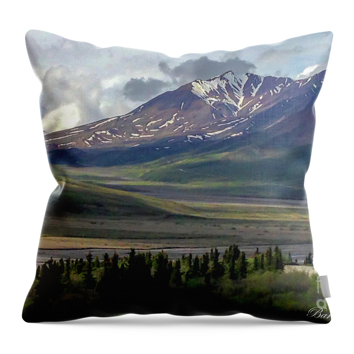 Nature Throw Pillow featuring the photograph Denali by Barry Bohn