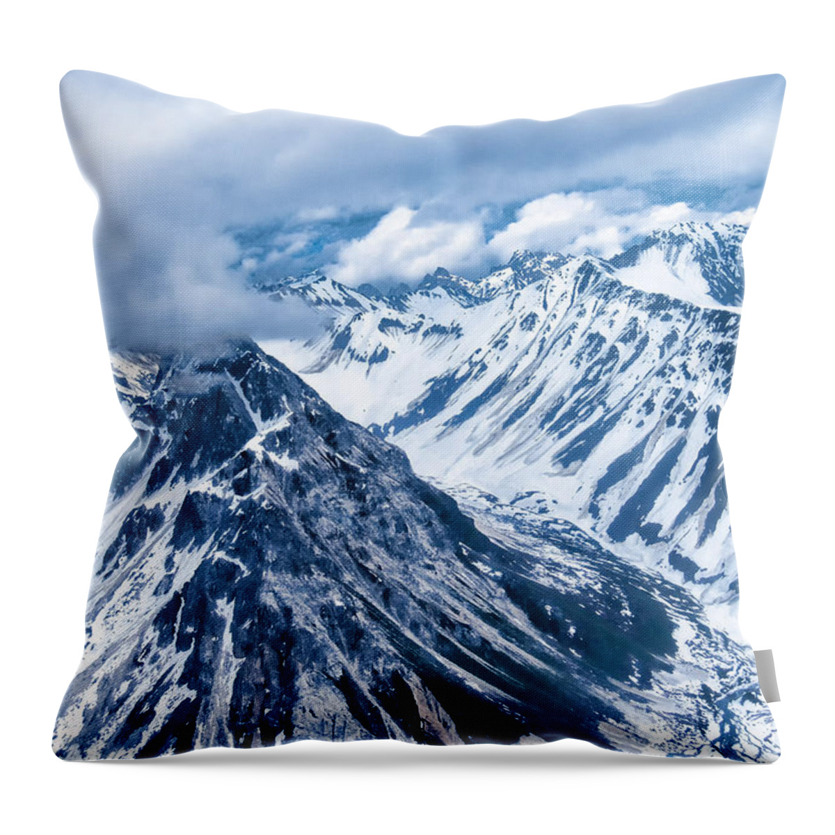 Denali Throw Pillow featuring the photograph Denali National Park by Roberta Kayne