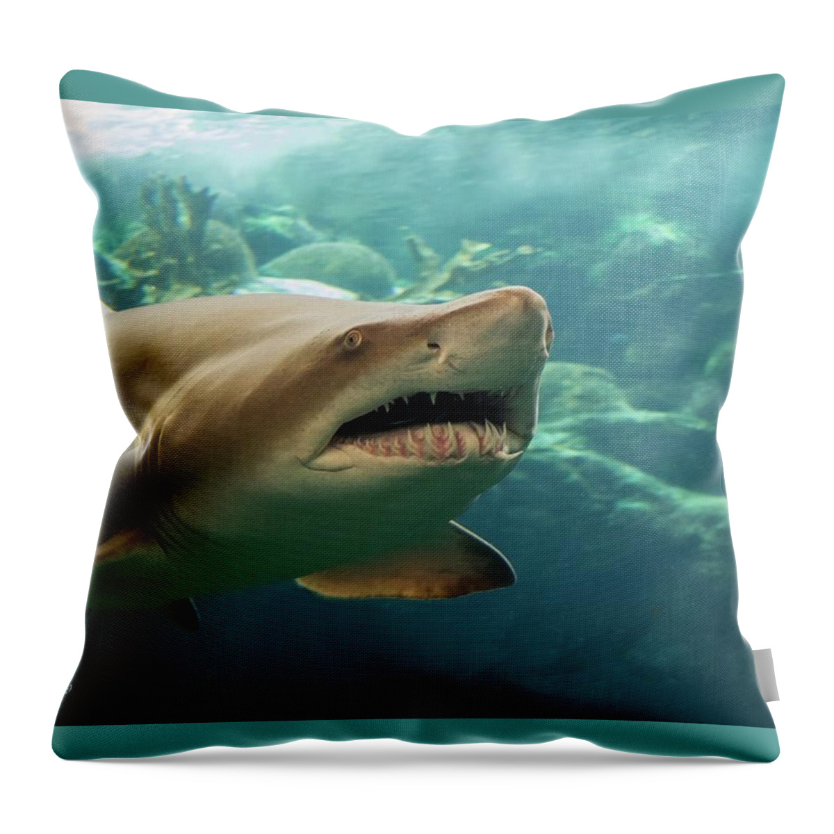 Shark Throw Pillow featuring the photograph Denizen Of The Deep by Larry Linton