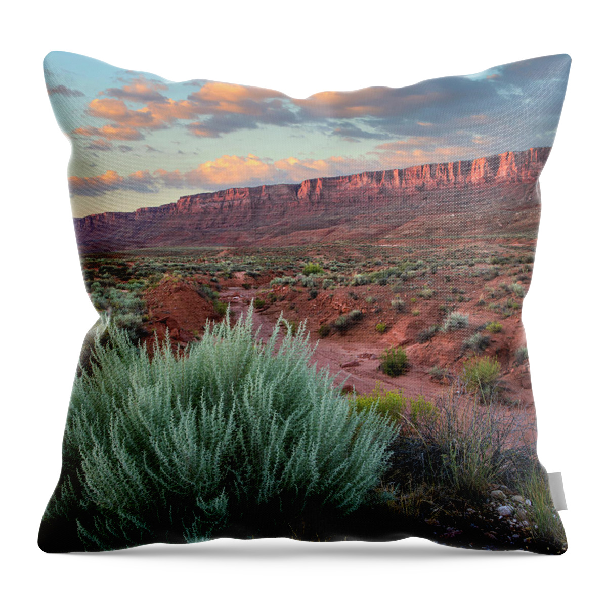00574878 Throw Pillow featuring the Desert And Cliffs, Vermilion Cliffs Nm, Arizona by Tim Fitzharris