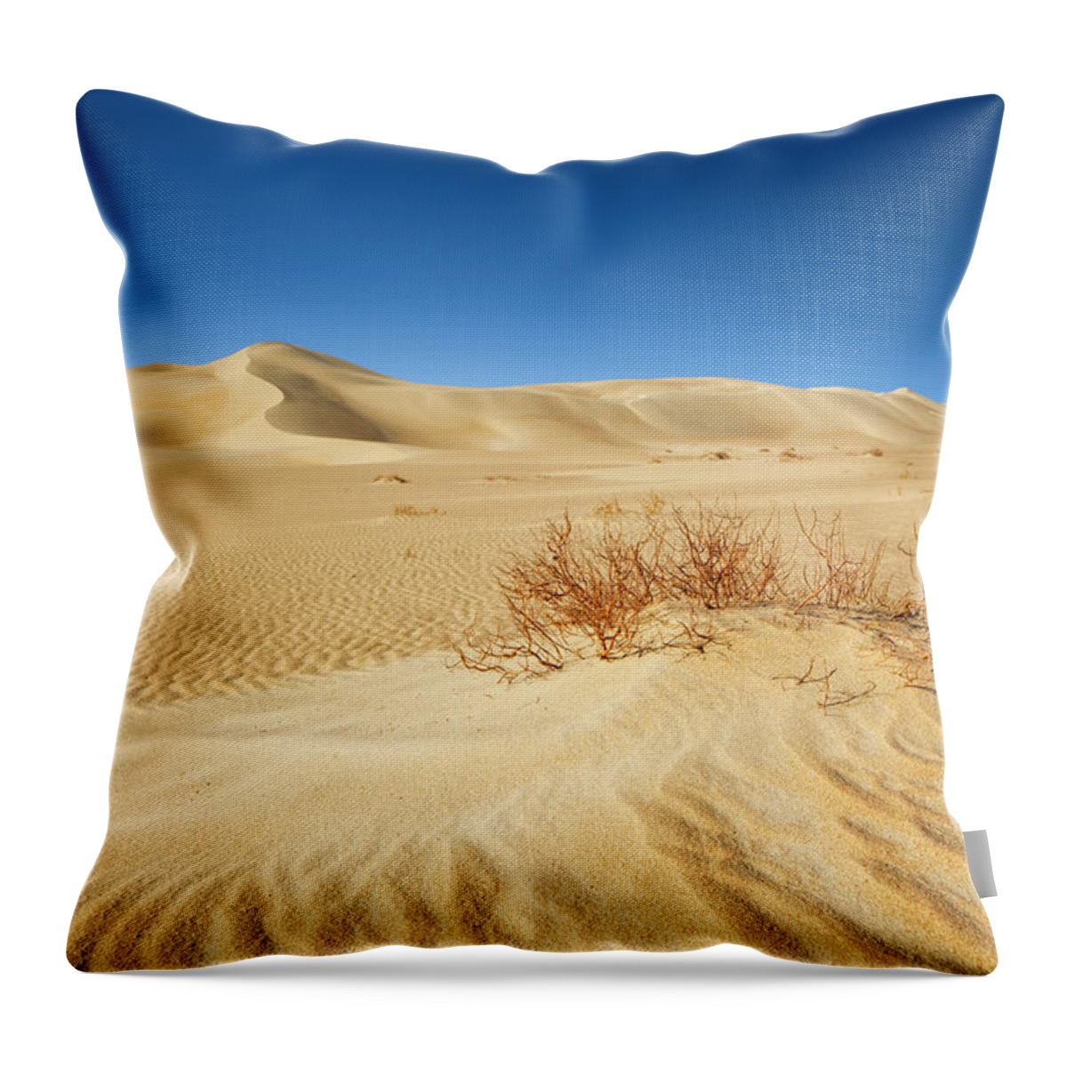 Scenics Throw Pillow featuring the photograph Desert by Cinoby