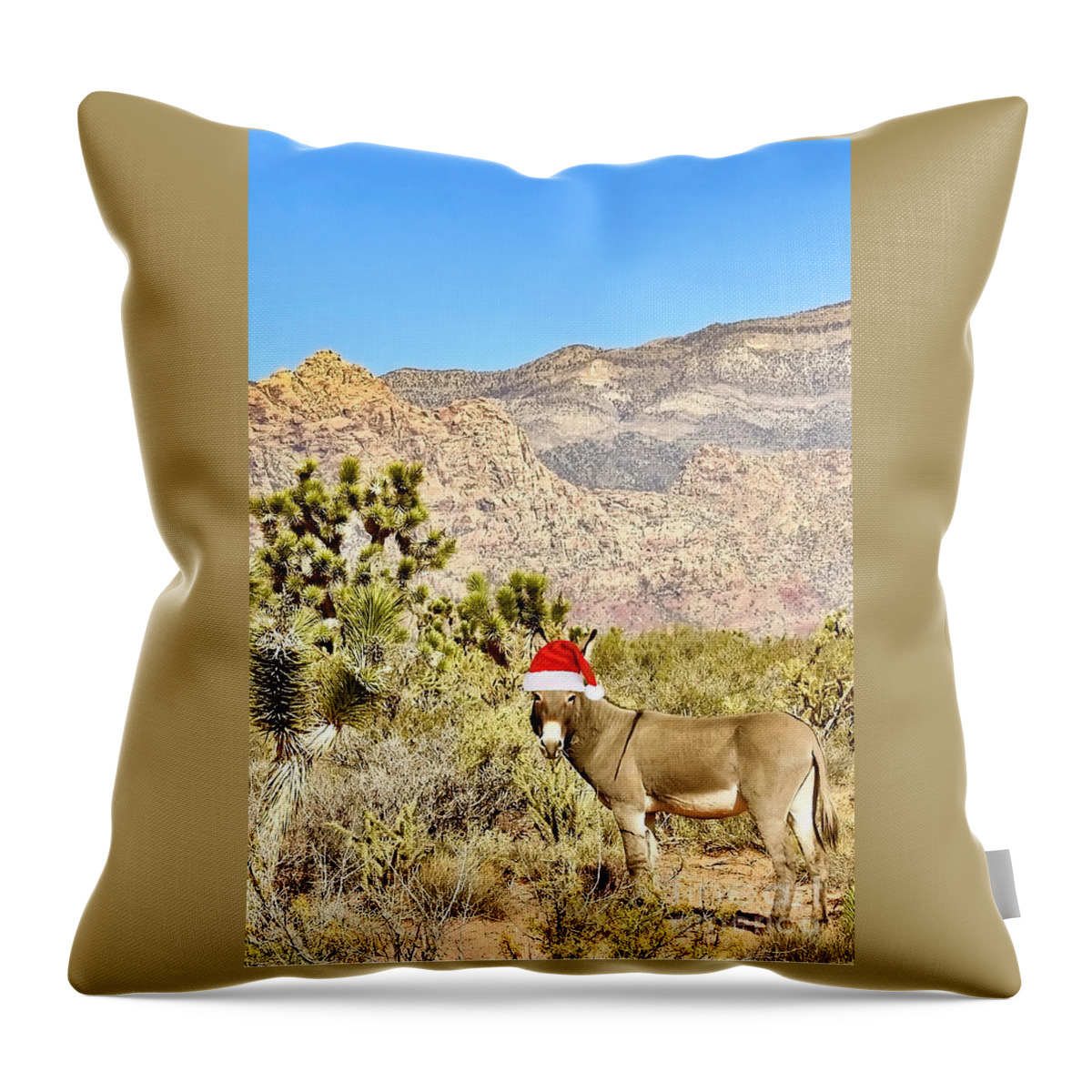 Donkey Throw Pillow featuring the photograph Desert Donkey - Christmas Edition by Beth Myer Photography