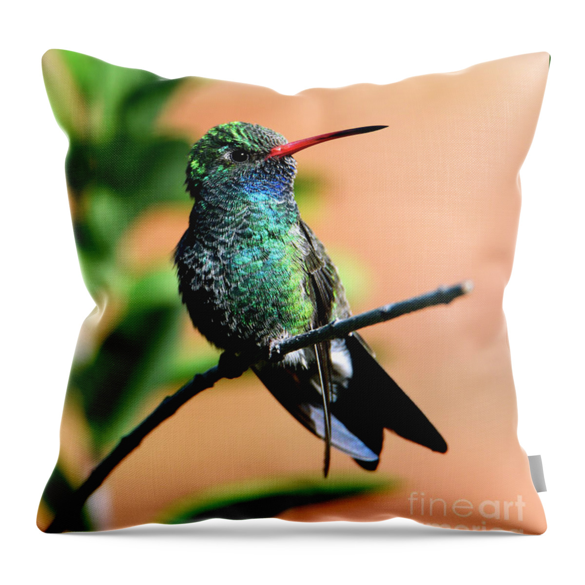 Denise Bruchman Photography Throw Pillow featuring the photograph Desert Glitter by Denise Bruchman
