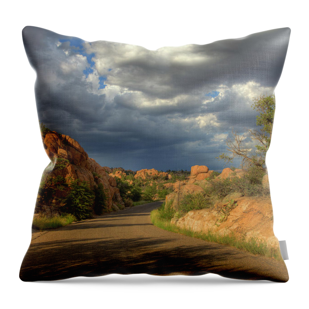 Scenics Throw Pillow featuring the photograph Desert Storm by Dusty Pixel Photography