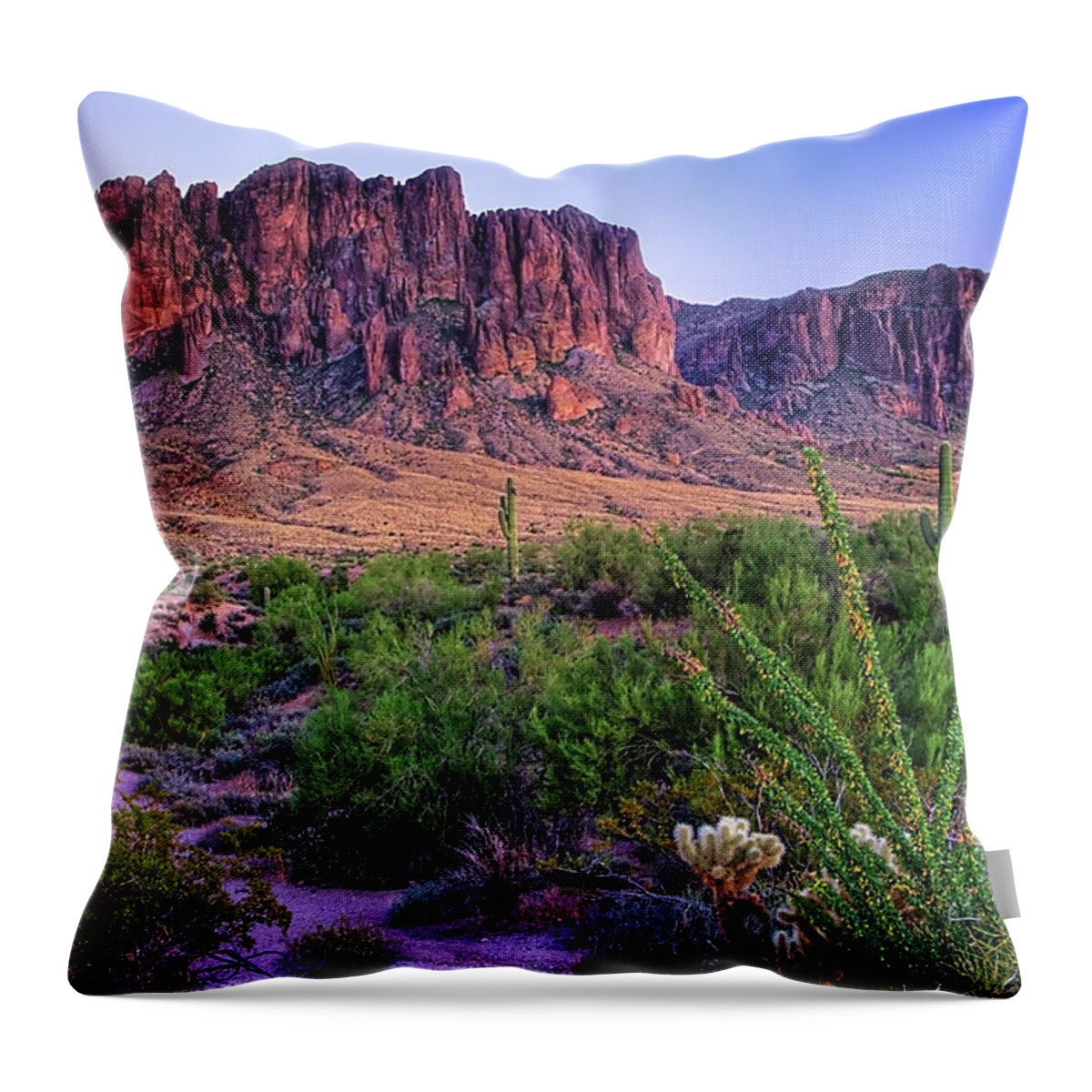 Tranquility Throw Pillow featuring the photograph Desert Trail by Patti Sullivan Schmidt
