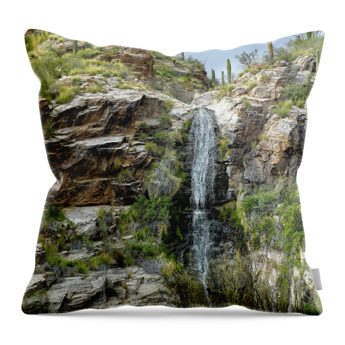 Ventana Canyon Throw Pillow featuring the photograph Desert Waterfall by Mitch Cat