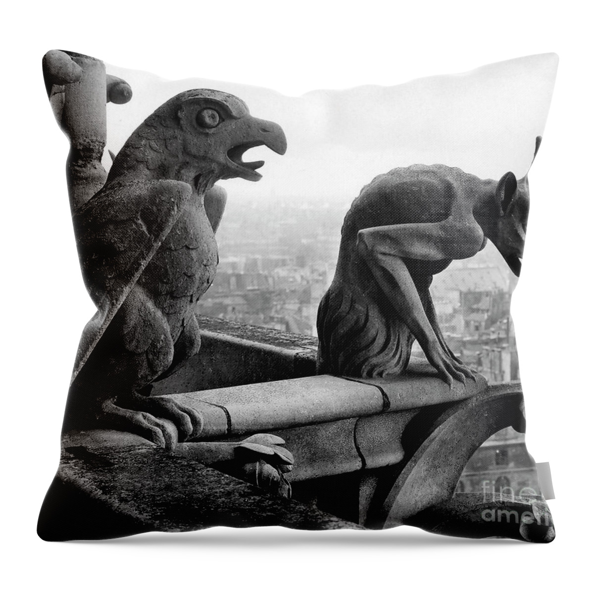 Gargoyle Throw Pillow featuring the photograph Detail of monstrous figures, depicting a bird and a monster by French School