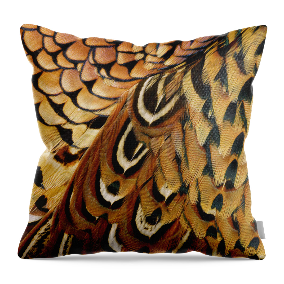 Orange Color Throw Pillow featuring the photograph Detail Of Pheasant Feathers by Jeffrey Coolidge