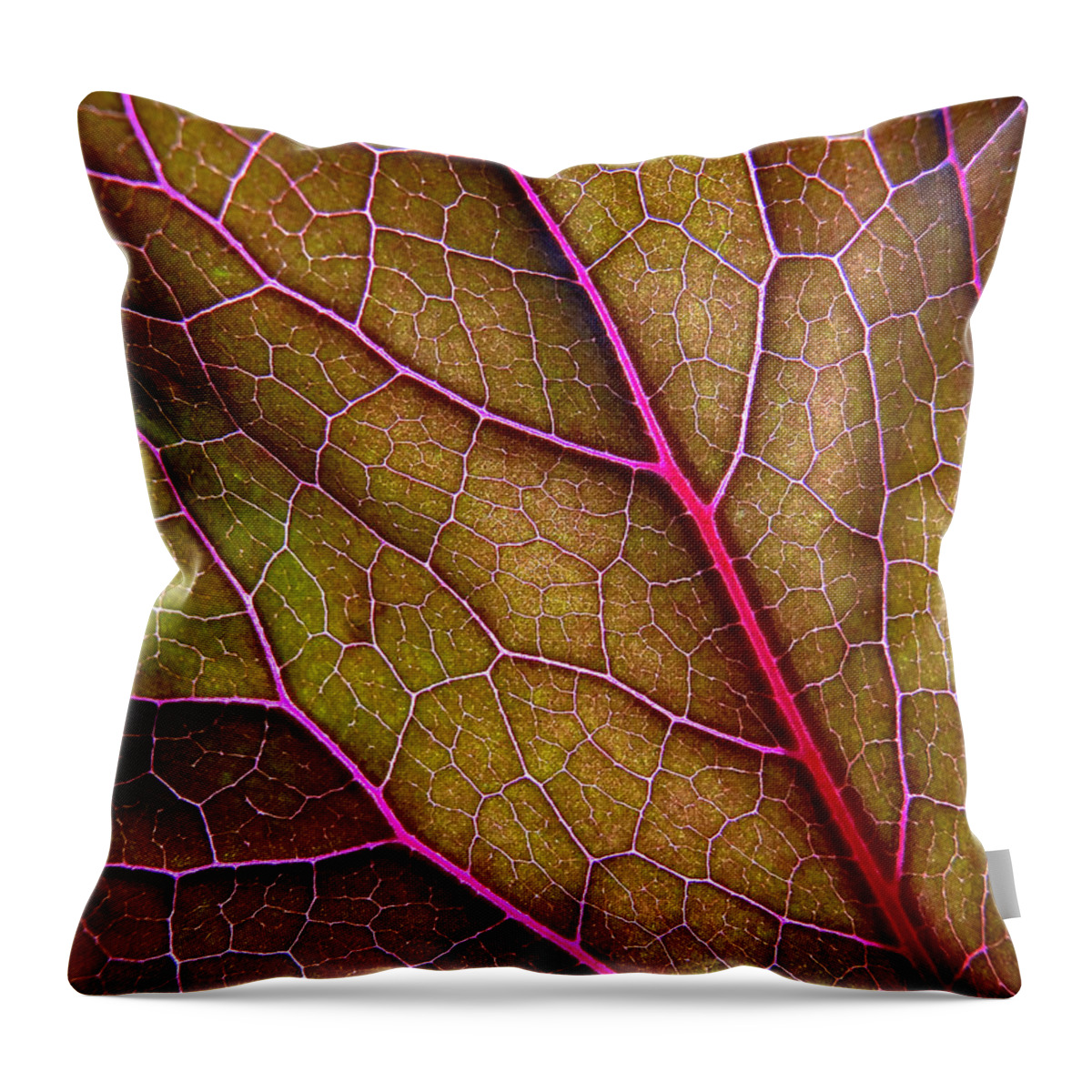 Season Throw Pillow featuring the photograph Details Of An Autumn Leaf by Julien Fourniol/baloulumix