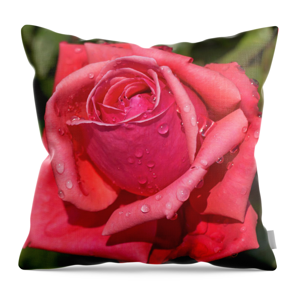 Rose Throw Pillow featuring the photograph Dewy Rose by Dawn Cavalieri