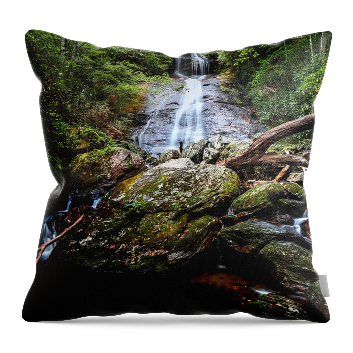 Dill Falls Throw Pillow featuring the photograph Dill Falls North Carolina by Carol Montoya
