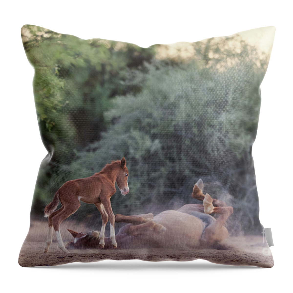 Cute Throw Pillow featuring the photograph Dirt Bath by Shannon Hastings